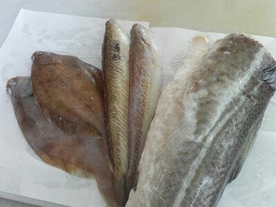 Panier de poissons