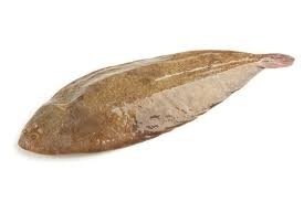 Sole