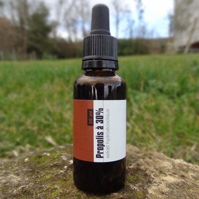 Propolis