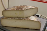 Tomme de chèvre