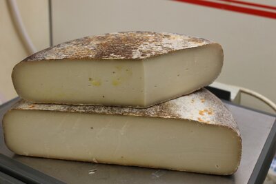 Tomme de chèvre