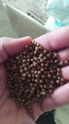 5 kg aliment flottant pour carpes koï 3 mm