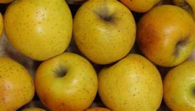 Pomme opal bio
