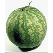 Confiture  melon orange