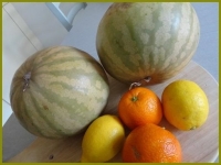 Confiture extra melon orange