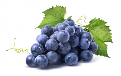 Fruits a tartiner raisin