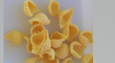 Conchiglie