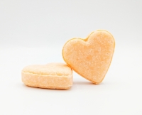 Shampoing solide 'secos'