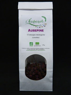 Aubépine (cenelles)