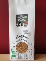 Engrain 'petit épeautre' bio 500g