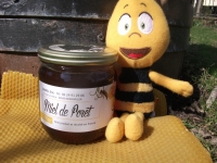Miel de forêt