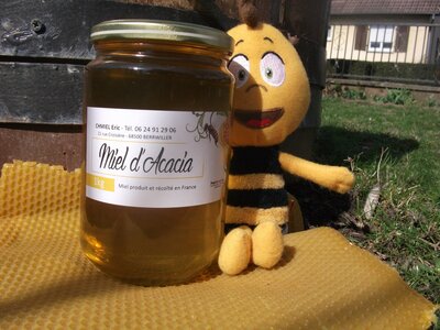 Miel d'acacia