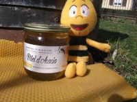 Miel d'acacia