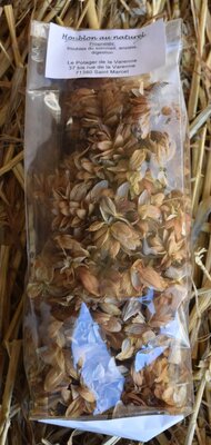 Tisane de houblon