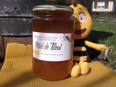 Miel de tilleul