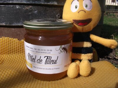 Miel de tilleul