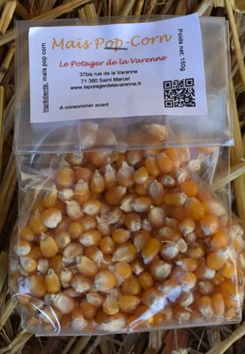 Maïs pop corn