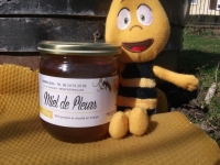 Miel de fleurs
