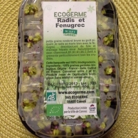 Graines germées fenugrec et radis