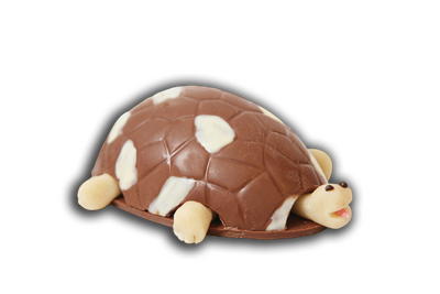 Tortue à croquer