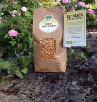 Maïs popcorn bio