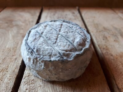 Petit palet cendré