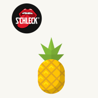 Sorbet artisanal ananas s'chleck