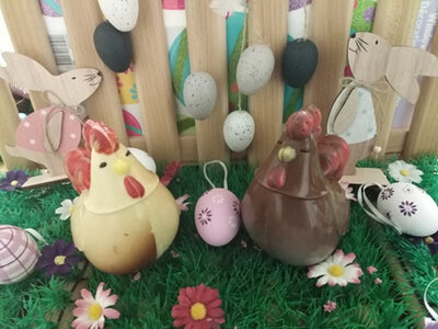 Poule lait