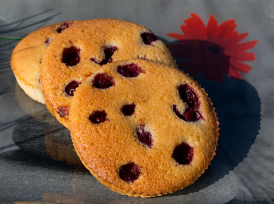 Financier griotte