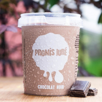 Crème glacée chocolat