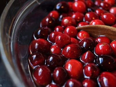 Cerise griotte montmorency au sirop