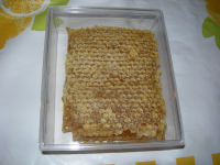 Miel en rayon