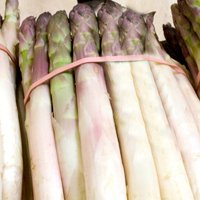 Asperges bio - botte 500gr