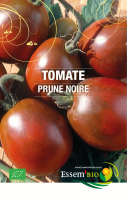Tomate  'brandywine sudduth's'
