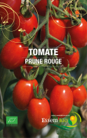 Tomate cerise 'new hampshire'