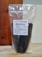 Lentilles beluga