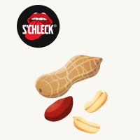 Creme glacée praliné de cacahuères