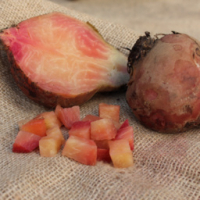 Betterave chioggia cuite