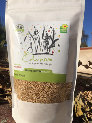 Quinoa
