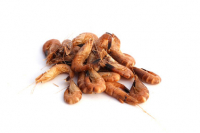 Crevettes grises