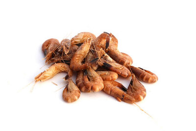 Crevettes grises