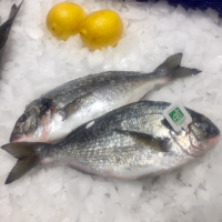 Dorade bio d'élevage