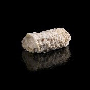 Rigole (chèvre)