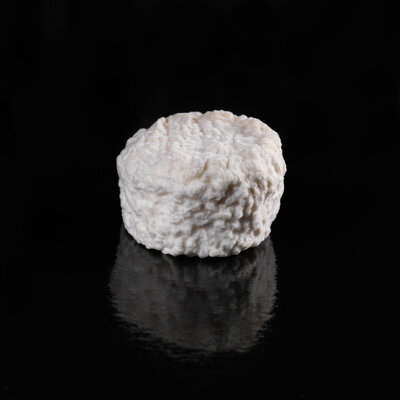 Riquet (chèvre)