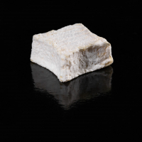 Pave revelois (vache)