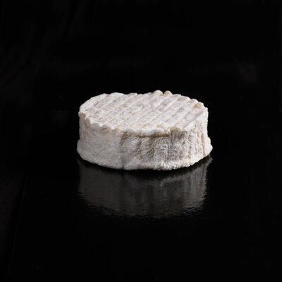 Alzeau (brebis)