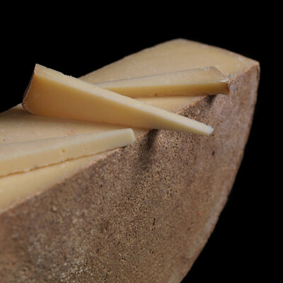 Cocagne (brebis)
