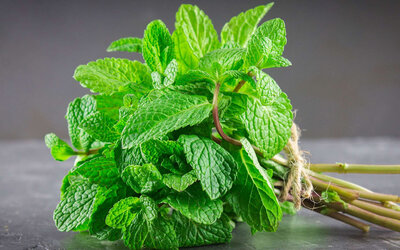 Bouquet menthe