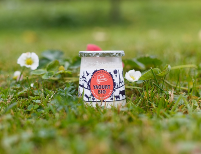 Yaourt bio fraise rhubarbe