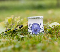 Yaourt bio myrtille groseille